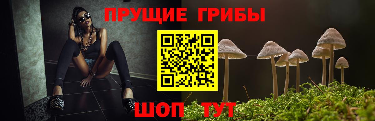Галлюциногенные грибы Psilocybe  Вход с VPN  Кубинка 